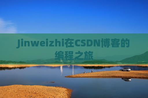 Jinweizhi在CSDN博客的编程之旅